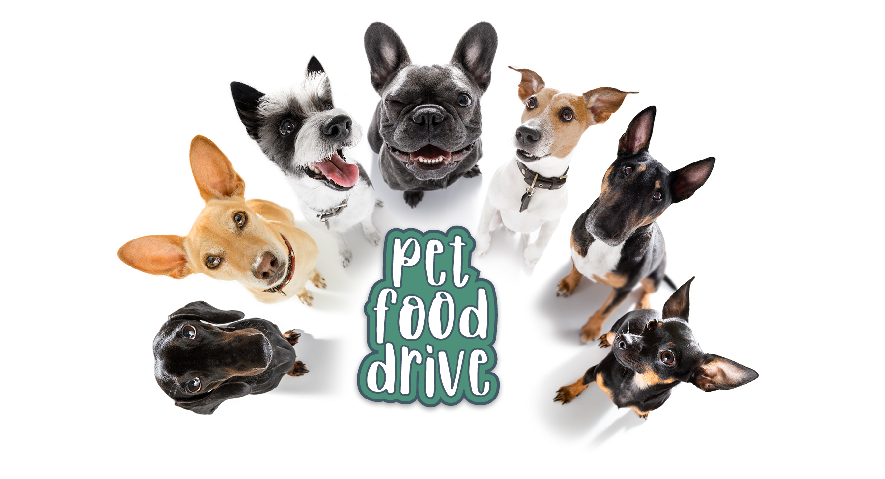 pet_food_drive_mobile